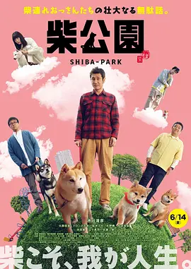 日韩欧美视频在线观看免费