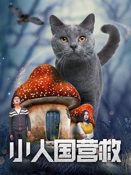 九九99视频在线观看视频观看