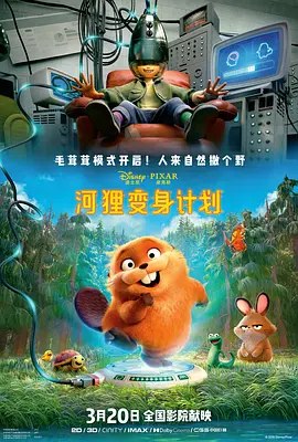 中国成人在线视频