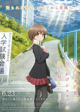 久久国内精品视频