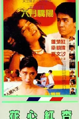 成人福利视频导航
