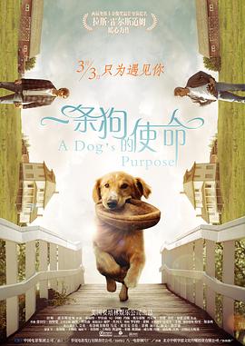 十大污视频软件