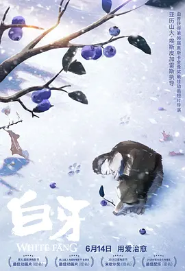 九九黄色网