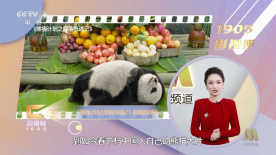 一级片自拍